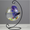 Hanging Fish Tank Glass Fish Bowl